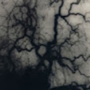 Meet your Posher, Liam